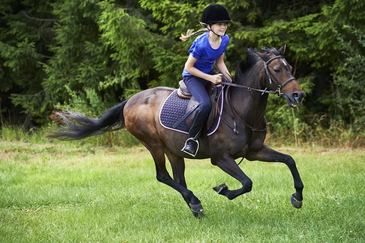 Horse Riding