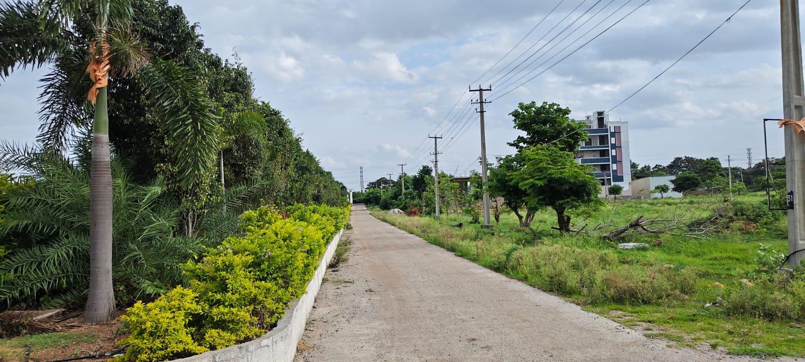 60-foot main road