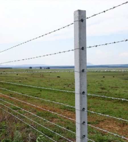 7d7ec3cdcf3c2c8f5f6e512045b2084e