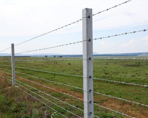 7d7ec3cdcf3c2c8f5f6e512045b2084e 7d7ec3cdcf3c2c8f5f6e512045b2084e