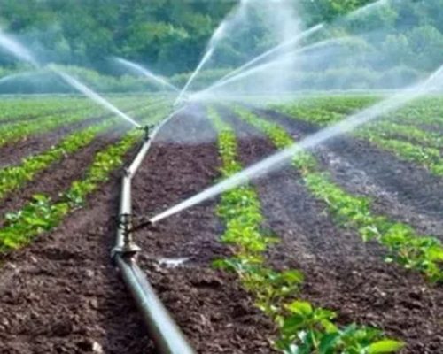 81jcMpPJVDL 81jcMpPJVDL