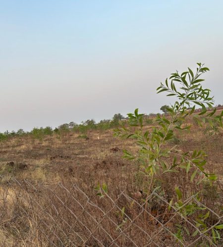 Complete Project Fencing