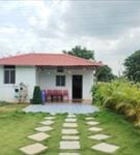 P829483110.default.22034352