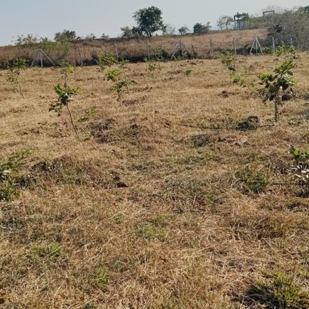 WhatsApp Image 2025-12-28 at 15.44.52