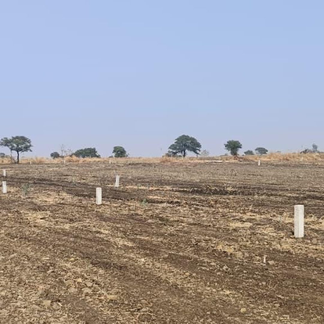 WhatsApp Image 2026-02-18 at 9.05.59 PM (1)