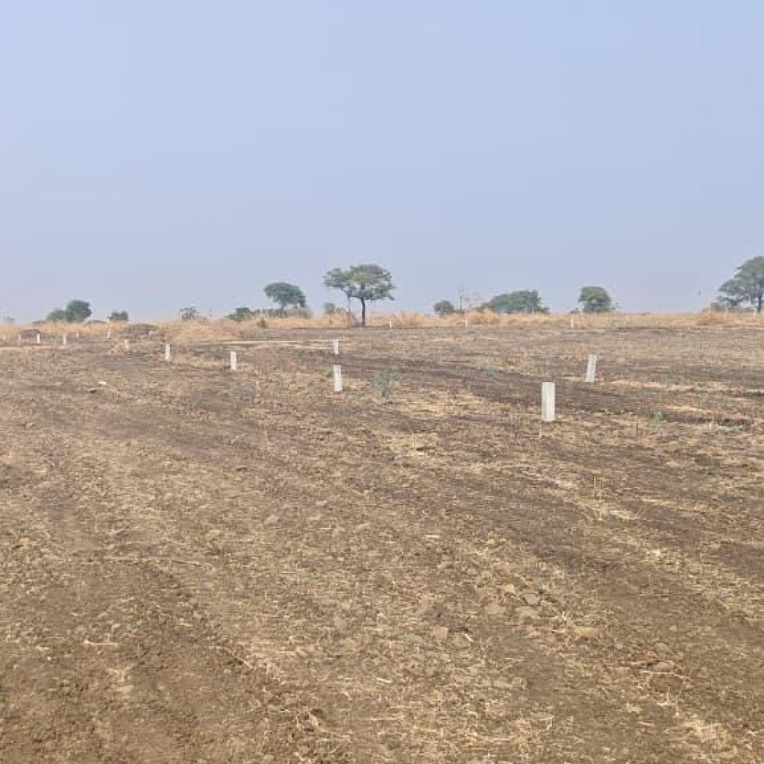 WhatsApp Image 2026-02-18 at 9.06.00 PM