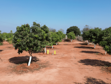 v-2024-03-01-09h25m09s011